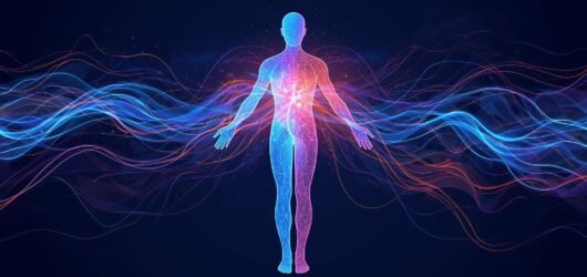 Frequenzen im menschlichen Körper